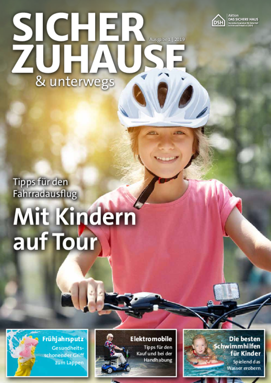 Cover: DSH Magazin 1/2019
