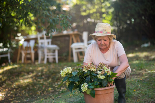 Seniorin hebt einen Blumenkübel im Garten