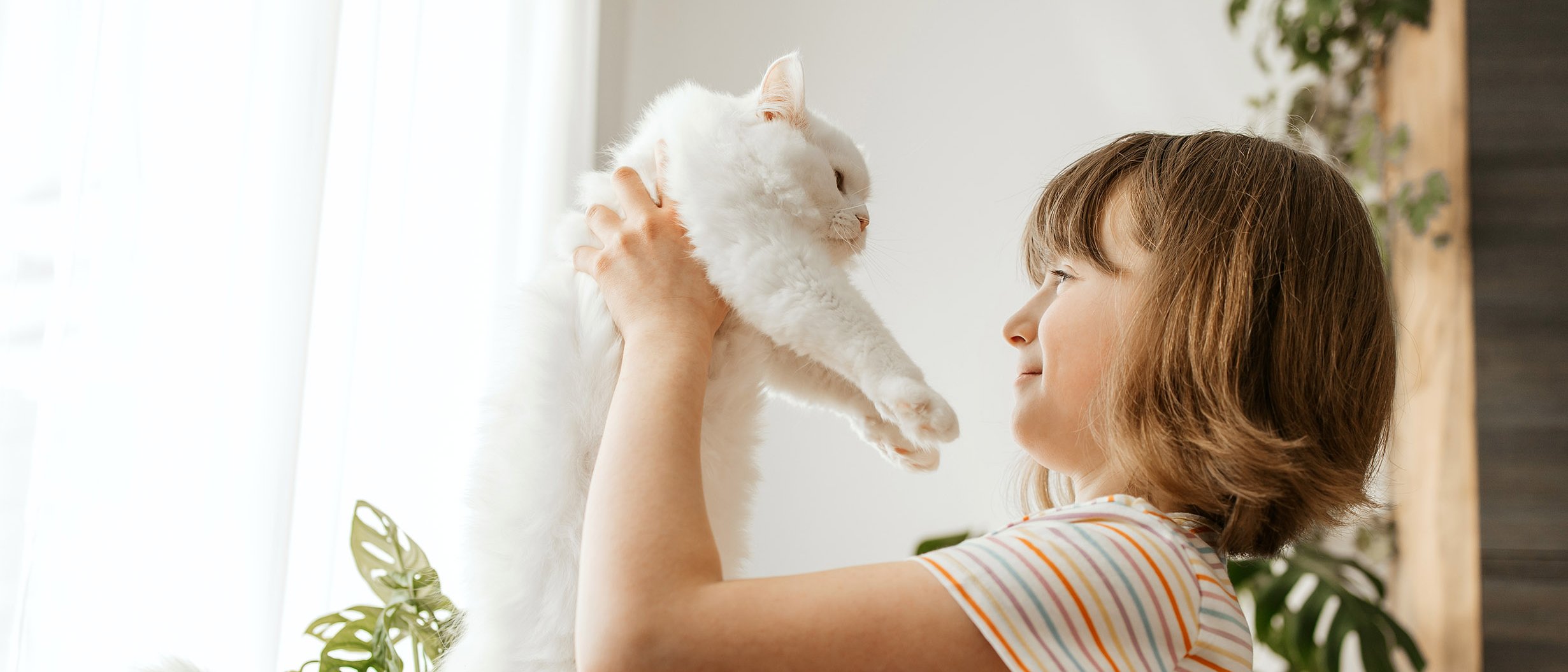 Mädchen mit einer Hauskatze im Arm.
