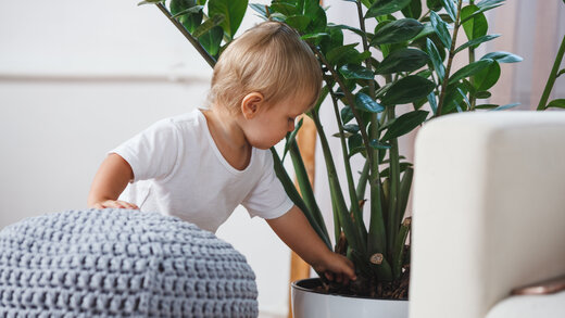 Kind mit giftiger Pflanze