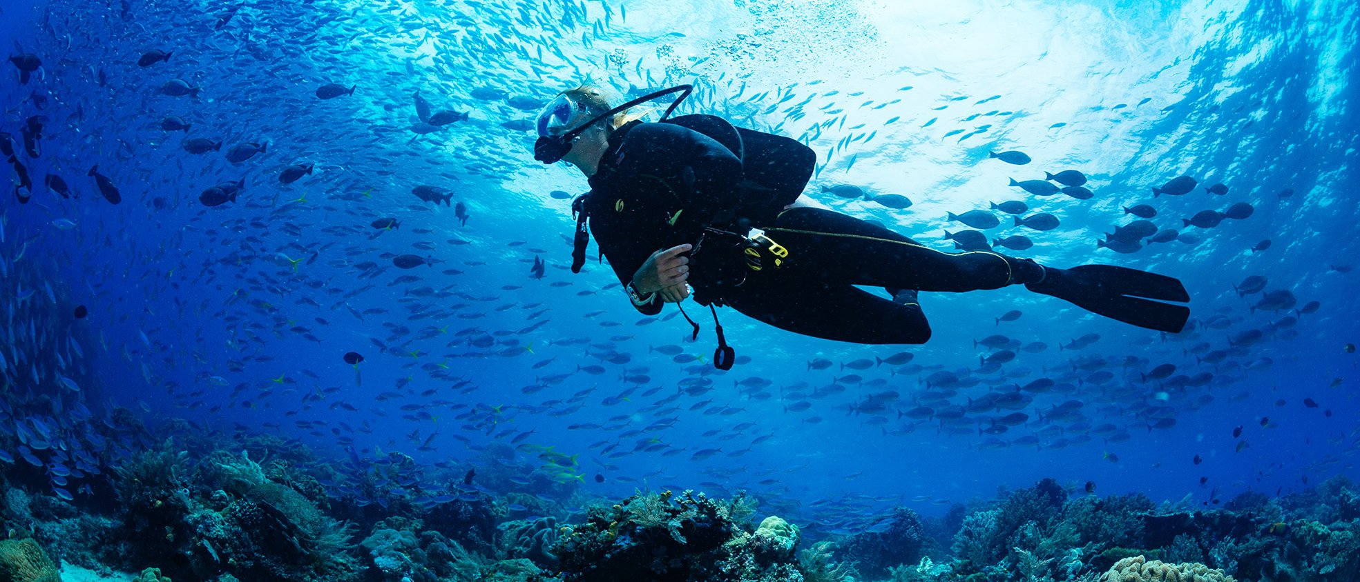 Ein Taucher in Tauchausrüstung schwimmt unter der Wasseroberfläche im Meer. Unter ihrem befinden sich Korallen und Fische.