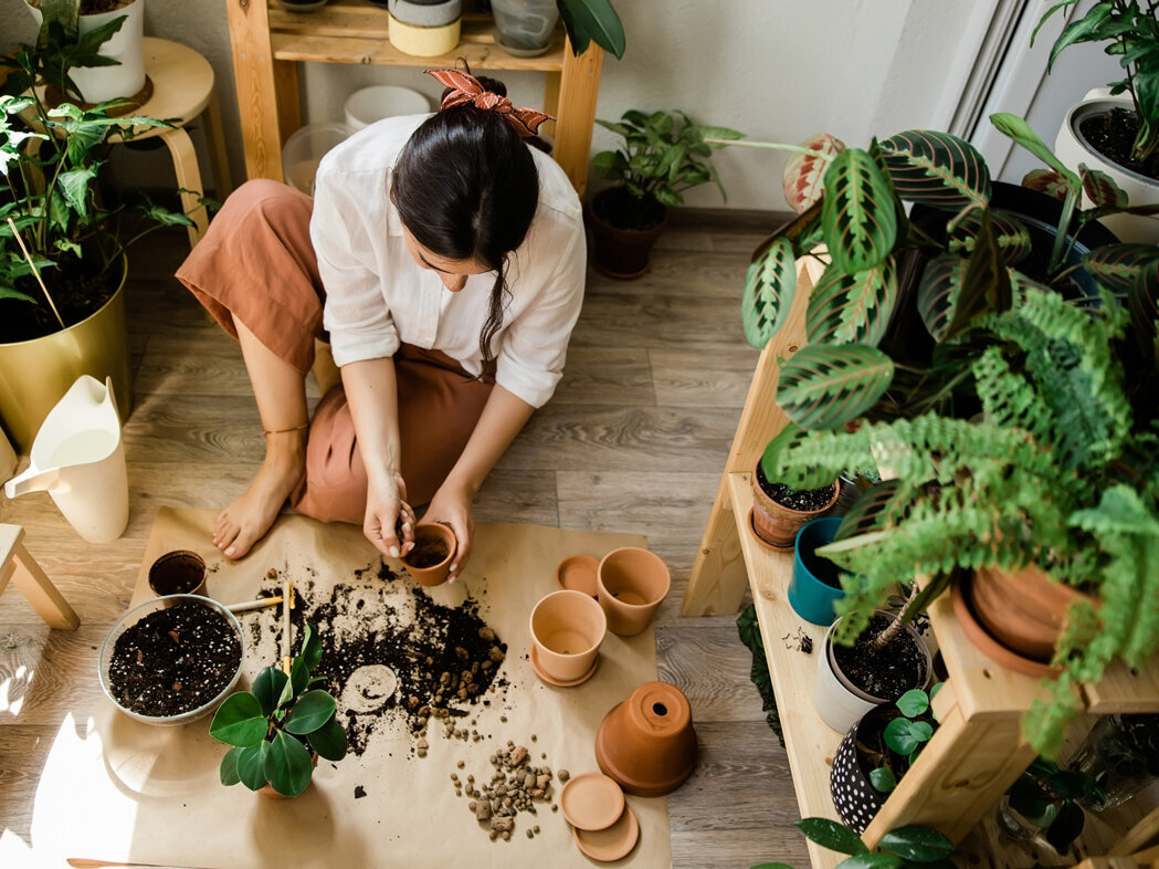 Urban Jungle Trend: Jungle Frau topft eine Zimmerpflanze um