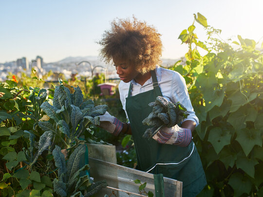 Eine junge Frau mit Afro begutachtet Pflanzen in einem Garten. Sie trägt eine grüne Latzhose.