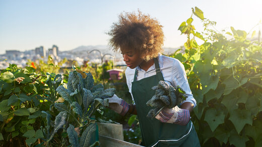 Eine junge Frau mit Afro begutachtet Pflanzen in einem Garten. Sie trägt eine grüne Latzhose.