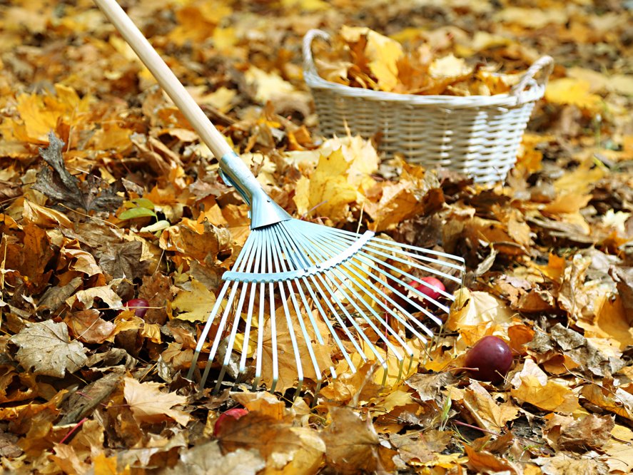 Rutschgefahr durch Laub auf Gartenwegen