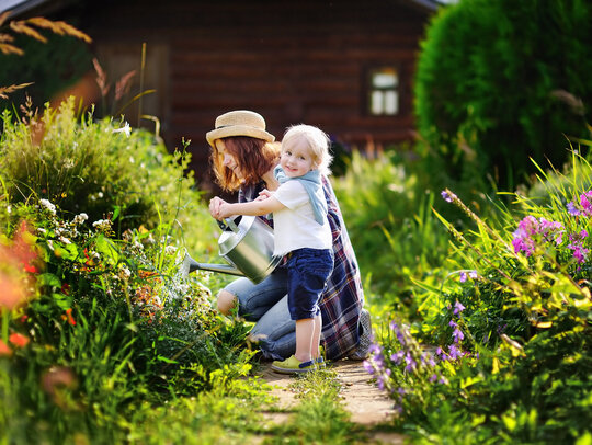 Familie pflanzt ungiftige Gartenblumen