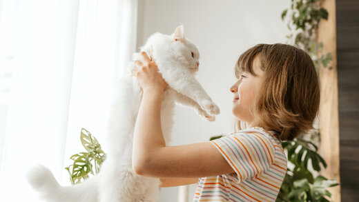 Mädchen hält eine Katze hoch. Die Szene zeigt die zärtliche Beziehung zwischen dem Kind und dem Haustier, wobei das Bild auch die Bedeutung von Verantwortung und Pflege bei der Haltung von Tieren vermittelt.