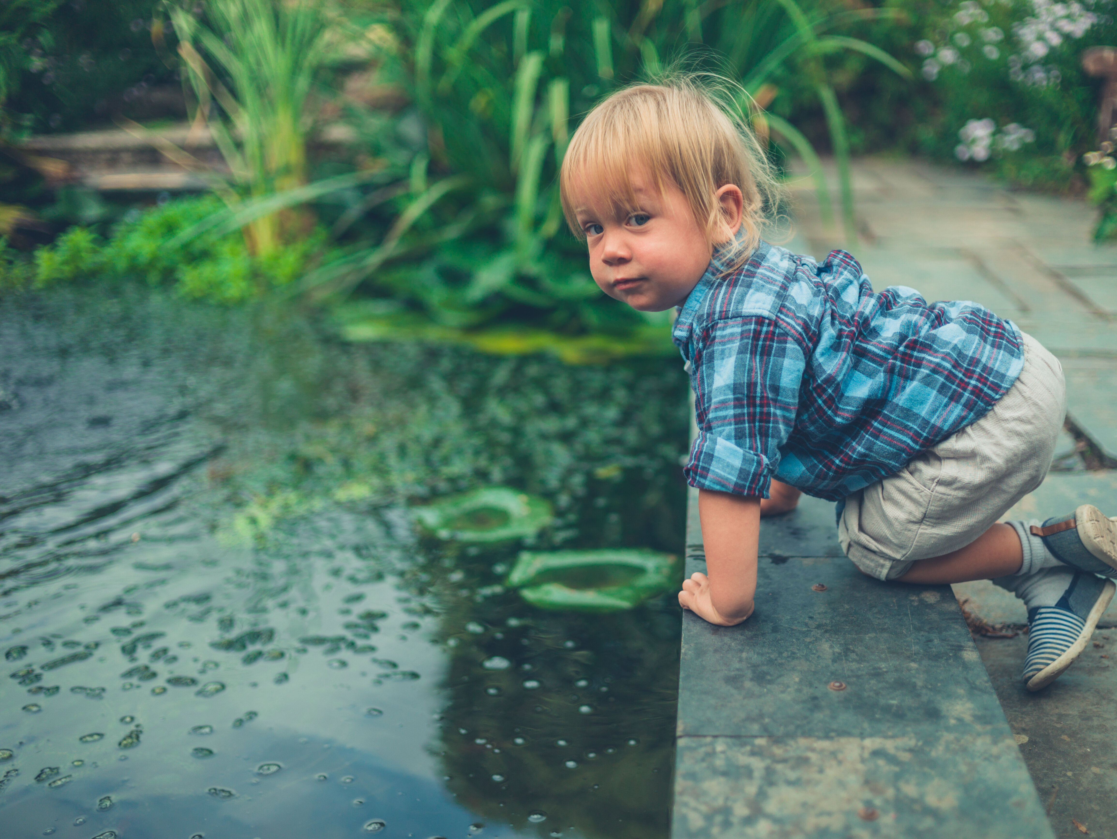 Ertrinkungsgefahr: Kleiner Junge beugt sich über den Rand eines Teichs