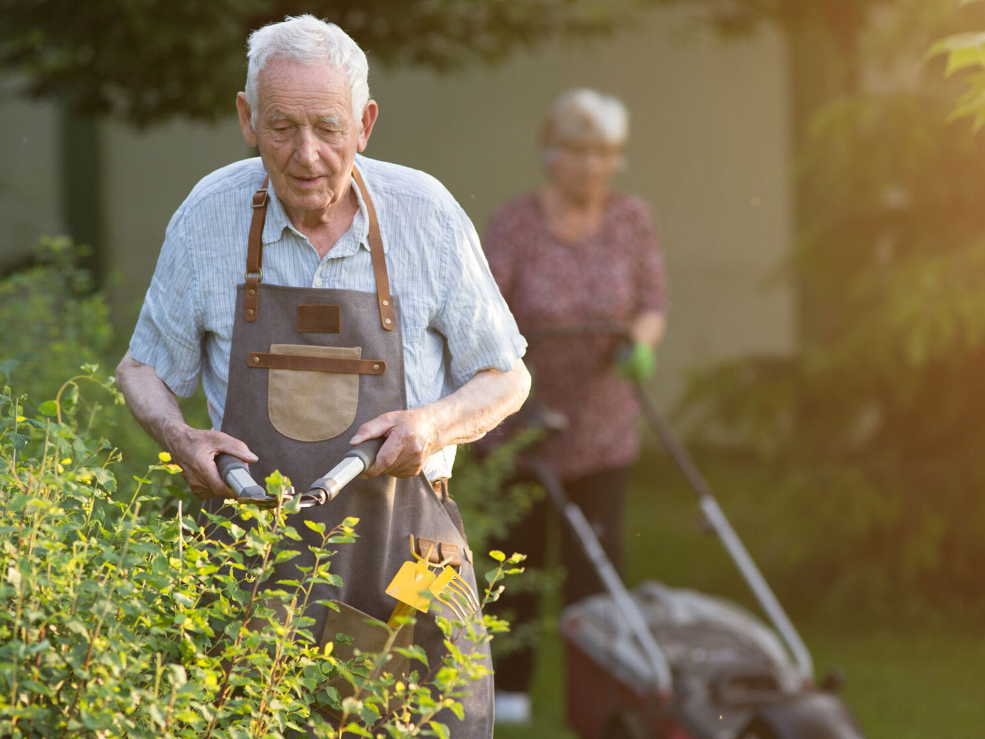 Pflegeleichter Garten für Senioren So geht's Das sichere Haus