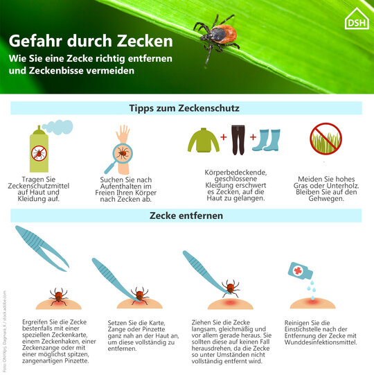 Infografik: Zeckenbiss, Zeckenstich vermeiden. Zecken entfernen