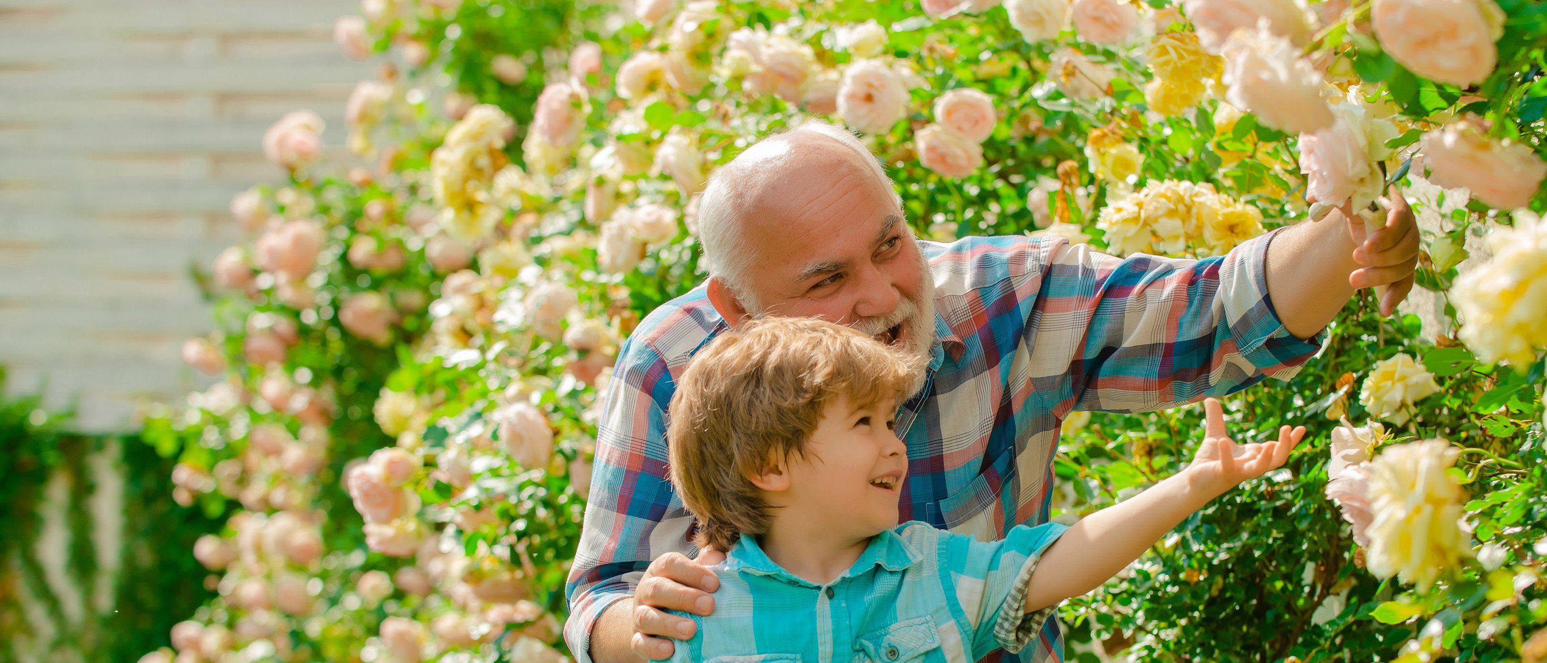Ungiftige Pflanzen für den Familiengarten: Rosen