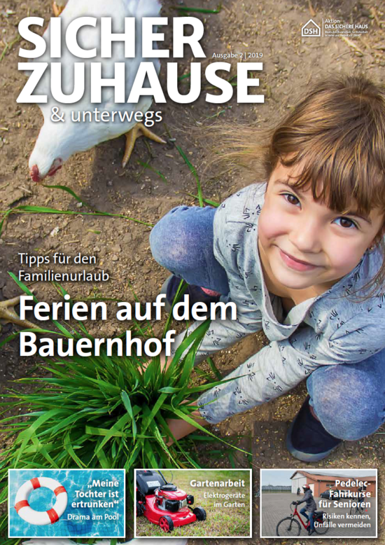 Cover: DSH Magazin 2/2019