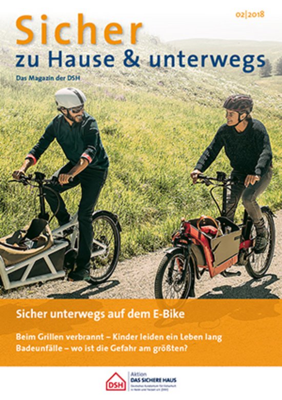 Cover: DSH-Magazin 2/2018