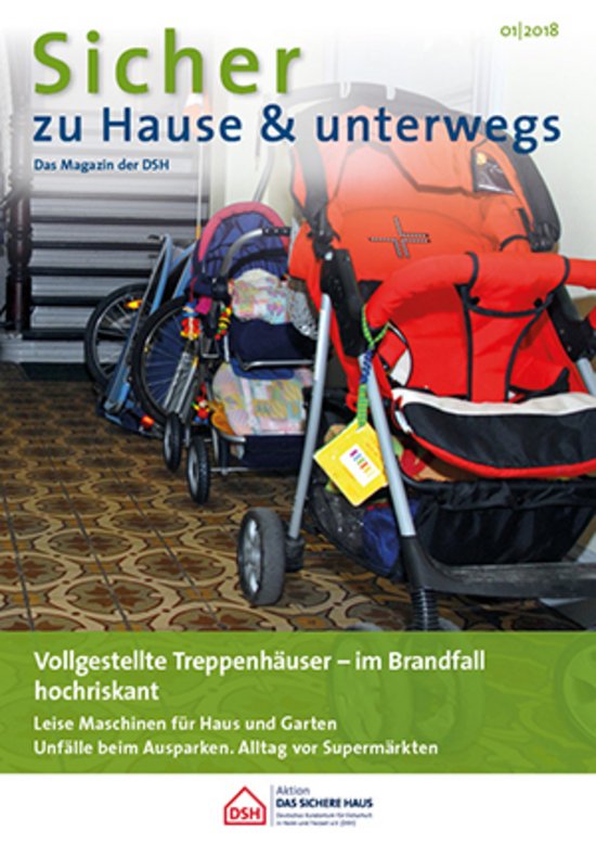 Cover: DSH-Magazin 1/2018