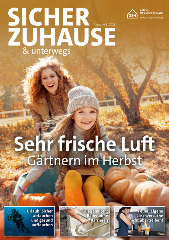 DSH-Zeitschrift Cover