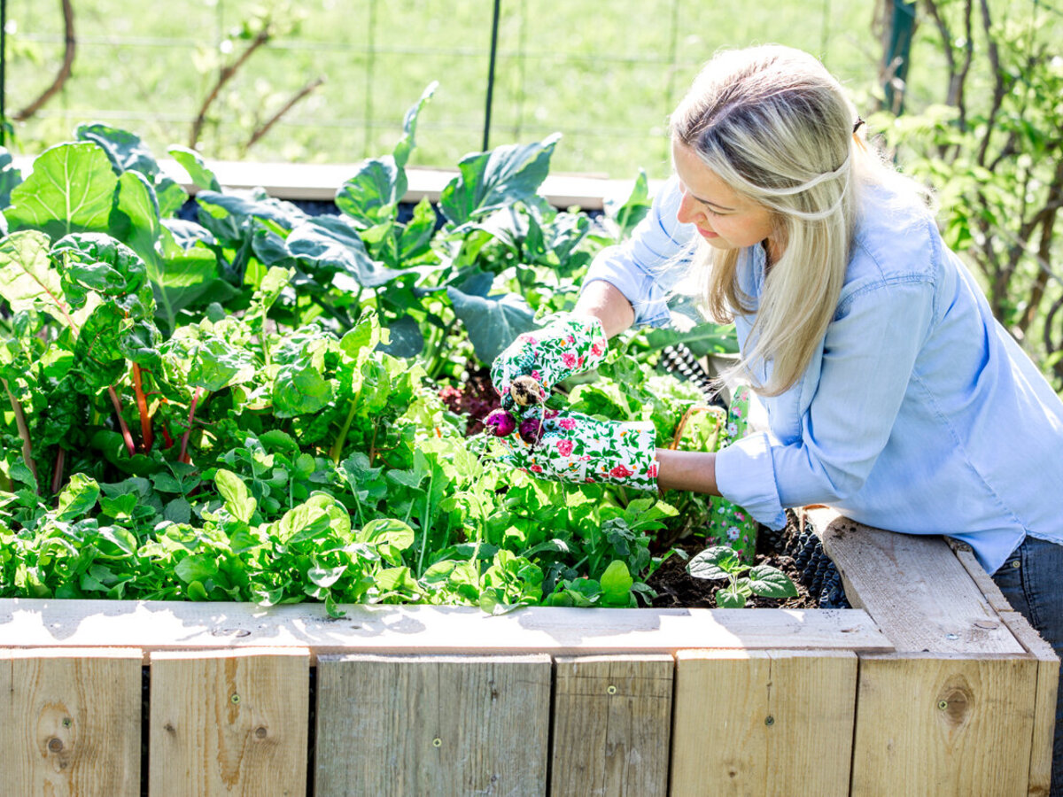 Pflegeleichter Garten Für Senioren: So Geht's | Das Sichere Haus