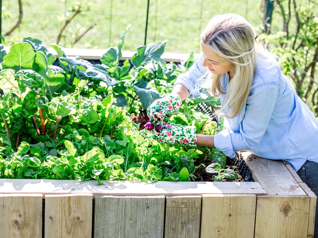 Frau bei der Gartenarbeit an einem Hochbeet