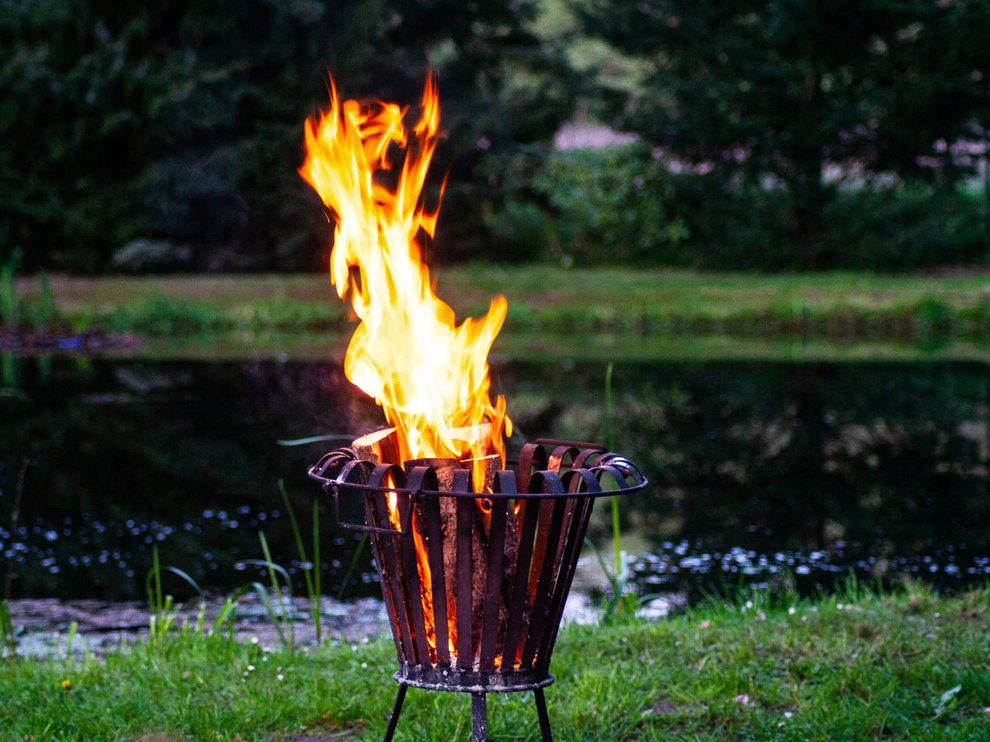 Tiger Oder Feuer Im Garten